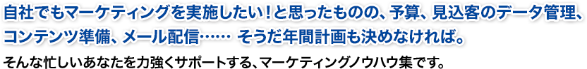 自社でもマーケティングを実施したい！と思ったものの、予算、見込客のデータ管理、コンテンツ準備、メール配信…　… そうだ年間計画も決めなければ。　そんな忙しいあなたを力強くサポートする、マーケティングノウハウ集です。